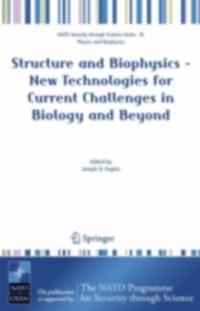 Nato Security through Science Series B: