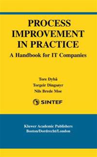 Process Improvement in Practice
