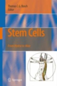 Biomedical and Life Sciences