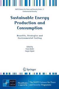 Kirjan kansi "Sustainable Energy Production and Consumption"