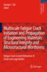 Solid Mechanics and Its Applications