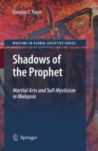 Muslims in Global Societies Series