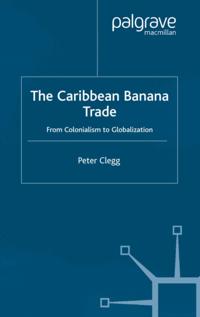 International Political Economy Series