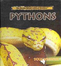Pythons