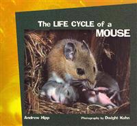 The Life Cycle of a Mouse