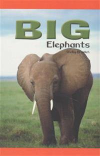 Big Elephants