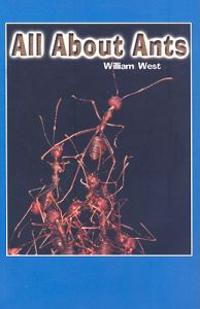 All About Ants