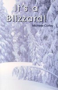 It's a Blizzard!