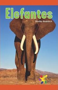 Elefantes/ Big Elephants