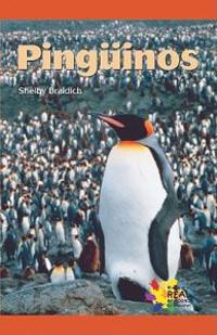 Pinguinos/ Penguins
