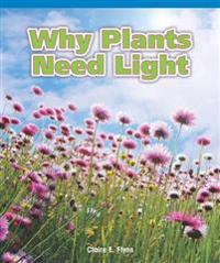 Why Plants Need Light