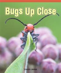 Bugs Up Close