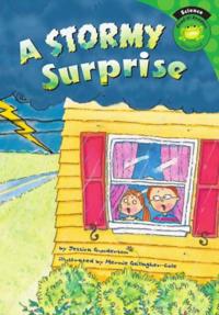 Stormy Surprise