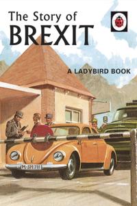 Ladybirds for Grown-Ups