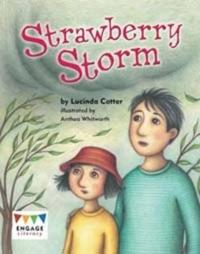 Bokomslag for "Strawberry Storm"