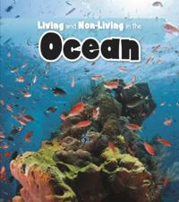 Living and Non-living in the Ocean