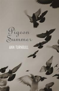 Pigeon Summer
