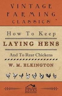 How to Keep Laying Hens and to Rear Chickens