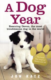 Dog Year