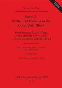 The Upper Tisza Project. Studies in Hungarian Landscape Archaeology. Book 2: Settlement Patterns in the Bodrogköz Block