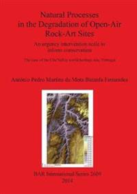Natural Processes in the Degradation of Open-Air Rock-Art Sites