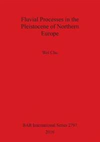 Fluvial processes in the Pleistocene of northern Europe