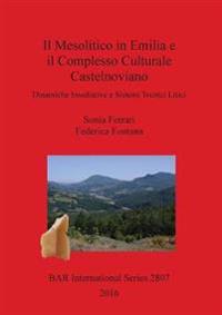 Il Mesolitico in Emilia e il Complesso Culturale Castelnoviano