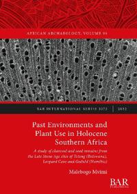 Past Environments and Plant Use in Holocene Southern Africa