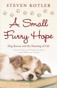 Small Furry Hope