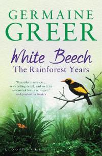 White Beech