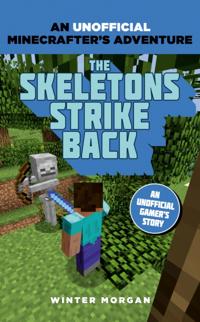 An Unofficial Gamer’s Adventure