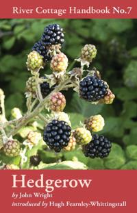 River Cottage Handbook