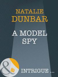 Model Spy