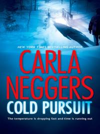 Black Falls Novel