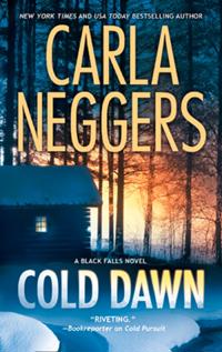 Black Falls Novel
