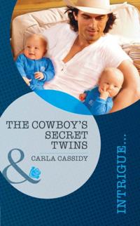 Cowboy's Secret Twins