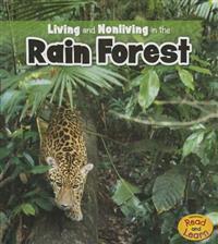 Living and Nonliving in the Rain Forest