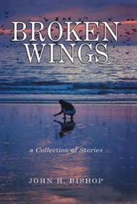Bokomslag för "Broken Wings"