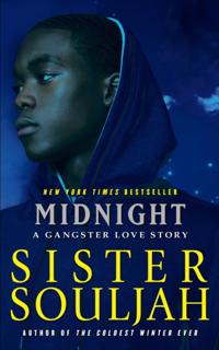 The Midnight Series