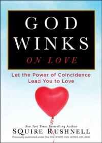 The Godwink Series
