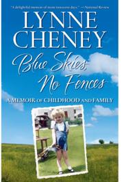 Blue Skies, No Fences