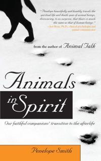 Animal Talk series