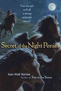 Secret of the Night Ponies