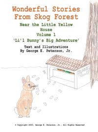 Wonderful Stories from Skog Forest