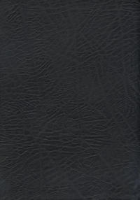 The NASB, MacArthur Study Bible, Large Print, Black Bonded Leather, Thumb Indexed, 1995 Text