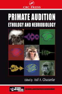 Frontiers in Neuroscience