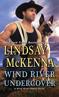 Wind River Valley