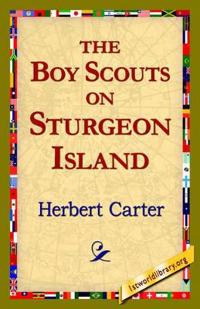 The, Boy Scouts on Sturgeon Island