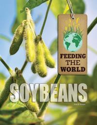 Feeding the World