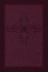 The Passion Translation New Testament (2020 Edition) Giant Print Compact Burgundy
